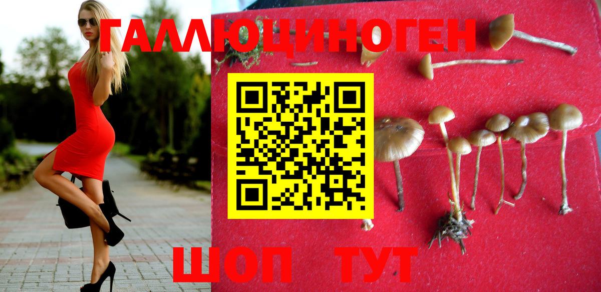 Псилоцибиновые грибы GOLDEN TEACHER Златоуст